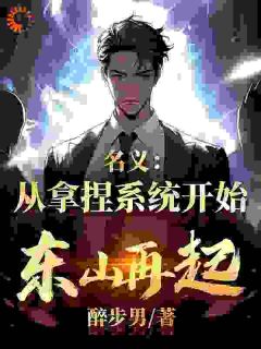 《名义：从拿捏系统开始东山再起》小说全文精彩章节在线阅读（汪恒侯亮平）