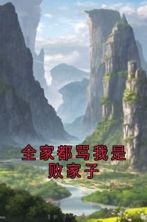 《全家都骂我是败家子》瑶瑶王癞子小说全本在线阅读