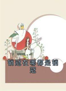 《销冠在哪都是销冠》小说全文精彩章节在线阅读（沈祐铭陆泽唐夏凝）