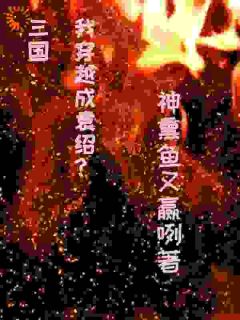 我是袁绍？那就且看我复汉室荣光吧袁绍孙尚香小说全文免费试读