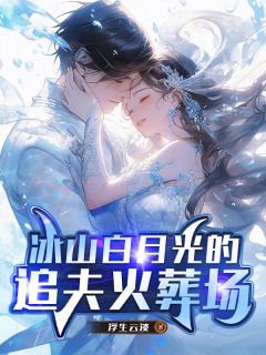 冰山白月光的追夫火葬场完整版 江昊林婉宁沈梦芝全章节阅读