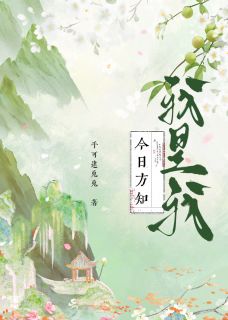 今日方知，我是我小说全文精彩章节在线阅读（言妁尔言言妁泊珏明）