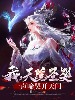 我，天道圣婴，一声啼哭开天门全章节免费试读 主角叶轩叶擎苍完结版
