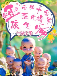《丑尼姑两胎十宝，泼皮战神孩他爹》小说全文精彩章节在线阅读（江婉婉江怀瑾）