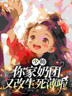 少帅，你家奶团又改生死薄啦厉绵绵厉寒铮小说_少帅，你家奶团又改生死薄啦小说章节