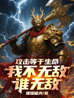 攻击等于生命，我不无敌谁无敌！叶天辰布林免费在线全文阅读