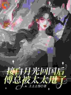 接白月光回国后，傅总被太太甩了全文在线阅读 温南溪傅辞宴小说全本无弹窗