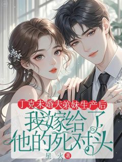丁克未婚夫弟妹生产后，我嫁给了他的死对头沈辰贺凌唐珊珊小说全文免费试读