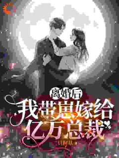 离婚后，我带崽嫁给亿万总裁苏晓慧靳言小说精彩章节在线阅读