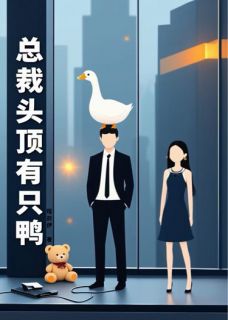 总裁头顶有只鸭完整小说目录在线阅读 (宁峻林小满) 大结局无弹窗
