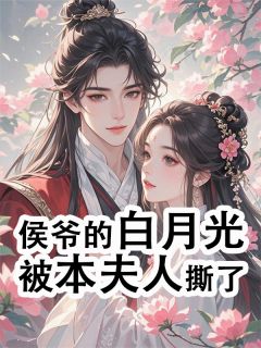 侯爷的白月光被本夫人撕了楚明轩沈念小说完整篇在线阅读
