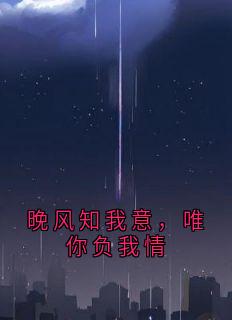 晚风知我意，唯你负我情完整版 裴华宴沈岁枝全章节阅读