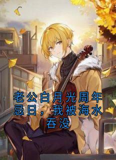 老公白月光周年忌日，我被海水吞没完整小说目录在线阅读 (宋淮川林安妍) 大结局无弹窗