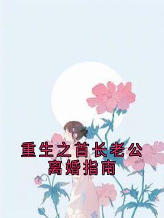 重生之首长老公离婚指南(祁绍巍江云岚)全文完结在线阅读完整版