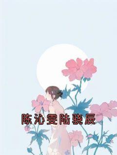 陈沁雯陆骁辰陈沁雯陆骁辰全文在线免费试读