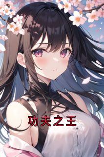 李泽梅跑跑小说叫什么_功夫之王小说