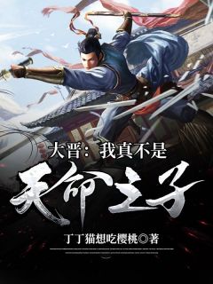 大晋：我真不是天命之子小说完整版在线阅读（主角徐宗文朱序）