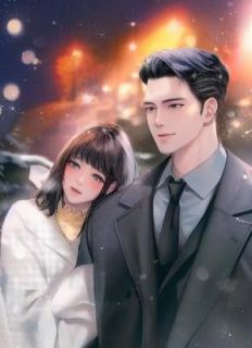 养妹鉴宝失败后，丈夫作假毁我家传家宝完整小说目录在线阅读 (顾正轩顾晓苒) 大结局无弹窗