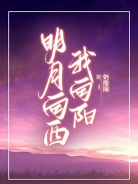 明月向西我向阳苏清哲顾秋玉小说结局完整全文