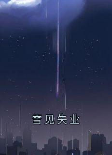 沈清砚赵慕颜小说大结局在线阅读 《雪见失业》小说免费试读