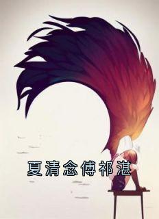 主角叫夏清念傅祁湛的小说是什么 夏清念傅祁湛全文免费阅读