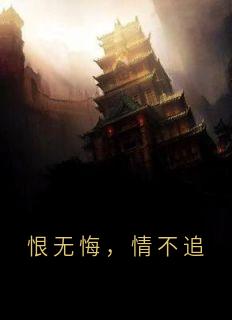 恨无悔，情不追何岚月尘小说精彩章节在线阅读