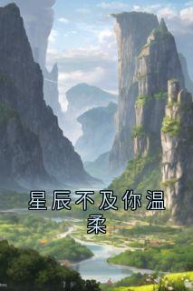 星辰不及你温柔夏馨林肆珩小说结局完整全文