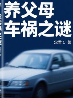 养父母车祸之谜by周明苏沐完整版 周明苏沐小说全集在线阅读