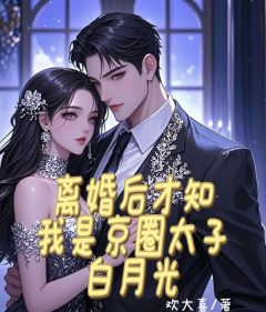 离婚后才知我是京圈太子白月光免费试读 陆晚星陆雪儿宋哲轩的小说在线阅读
