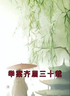 举案齐眉三十载小说最新章节免费试读（完整版未删节）