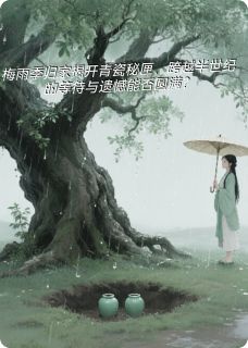 碎瓷记林穗陆明轩全文在线免费试读