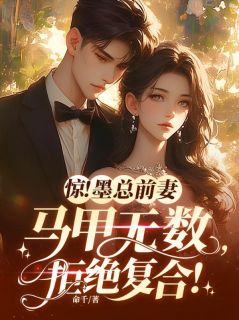 惊！墨总前妻马甲无数，拒绝复合！云揽月墨宸琰小说全本在线阅读