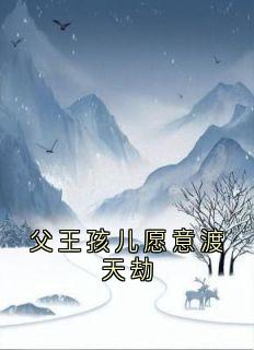 《父王孩儿愿意渡天劫》凌月玄苍小说全本在线阅读