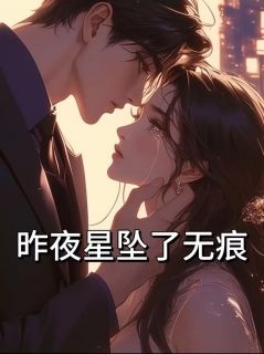 昨夜星坠了无痕小说全集免费在线阅读（阮清言李淮沈云）