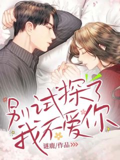 别试探了，我不爱你(许以淮穆学明)全文完结在线阅读完整版