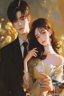 苏婉宁谢临渊沈浩泽小说叫什么_十年一朝与君辞小说