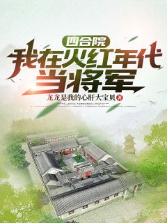 王新杨剑小说章节目录 四合院：我在火红年代当将军全文阅读