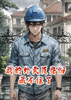 我的外卖员身份藏不住了全文免费试读(林琛王浩苏晴) 完结版