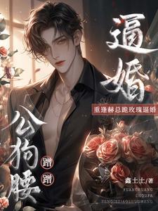 《公狗腰蹭蹭！重逢赫总跪玫瑰逼婚》辛暖辰赫焱坤全文阅读