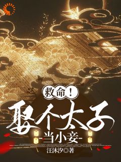 救命！娶个太子当小妾！沈梦瑶秦楚珏小说全文阅读