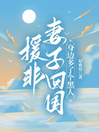 援非妻子回国，身边多了个黑人沈欣周杨小说结局完整全文