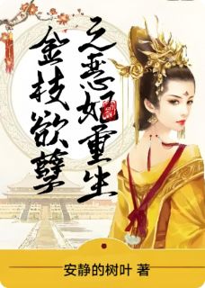 小说《金枝欲孽之恶妃重生》王巧儿孔明灯全文免费试读